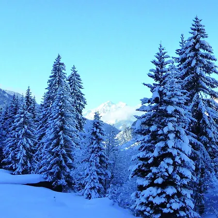 Aktiv Zur Rose Am Brenner 4* Steinach am Brenner