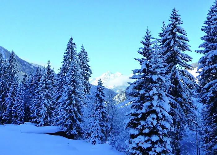 Aktiv Zur Rose Am Brenner 4* Steinach am Brenner