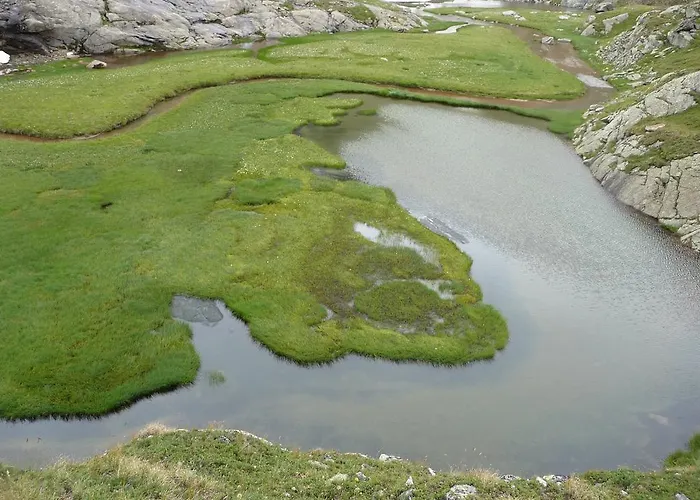 Aktiv Zur Rose Am Brenner 4*