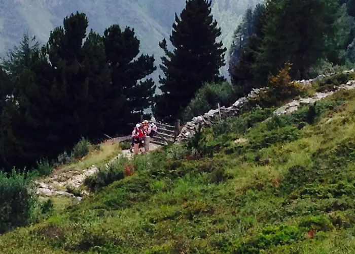 Aktiv Zur Rose Am Brenner 4*