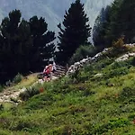 Aktiv Zur Rose Am Brenner 4*
